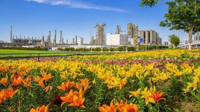 光伏玻璃中的无机化工原料：关键作用与选择要点**