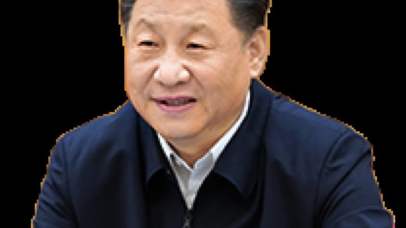 广东高分子材料批发厂家报价